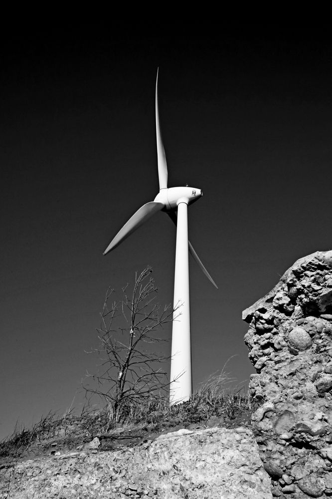 Фотография автора Сергей Барановский