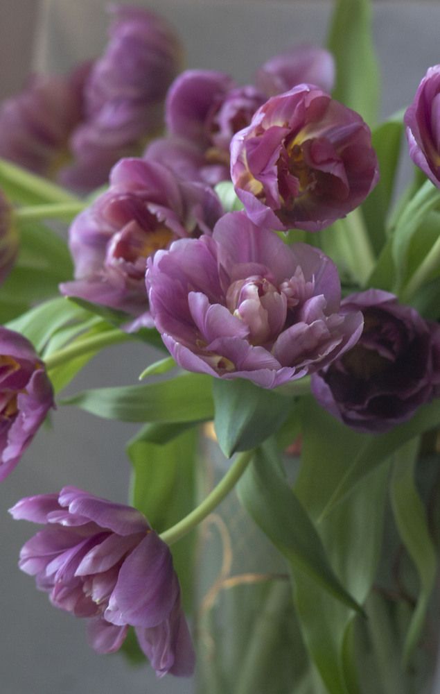 Photograph by Elena Kostochkina