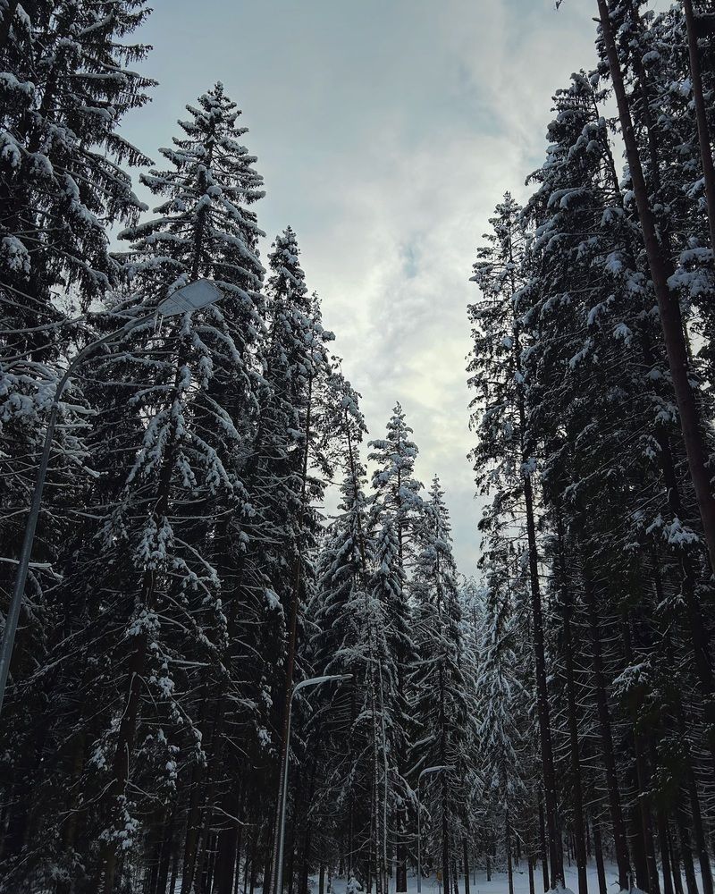 Photograph by Katerina Nikolaeva