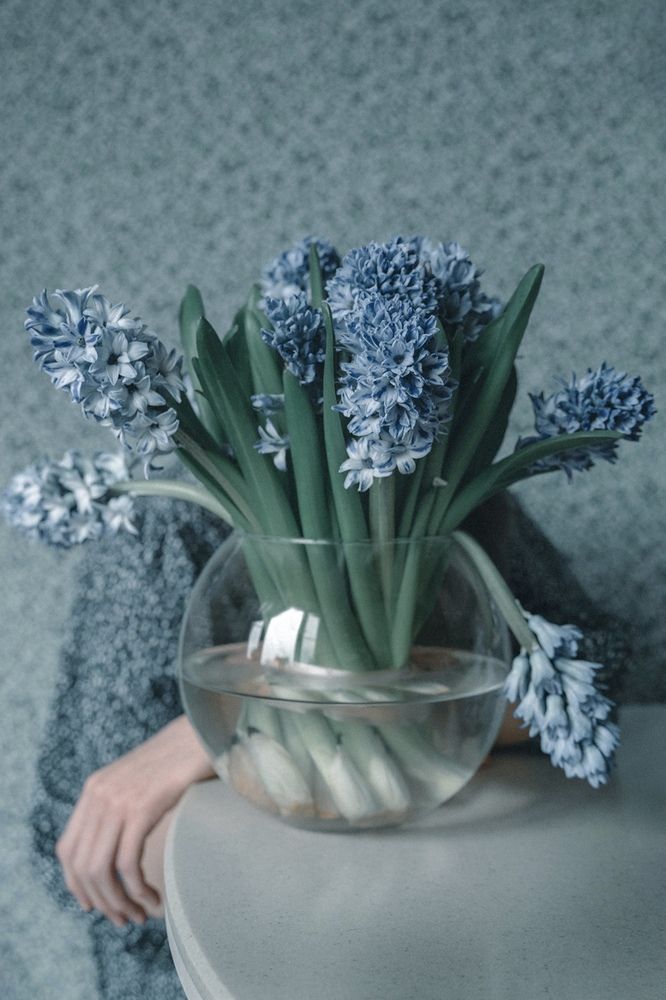 Photograph by Ольга Глазунова