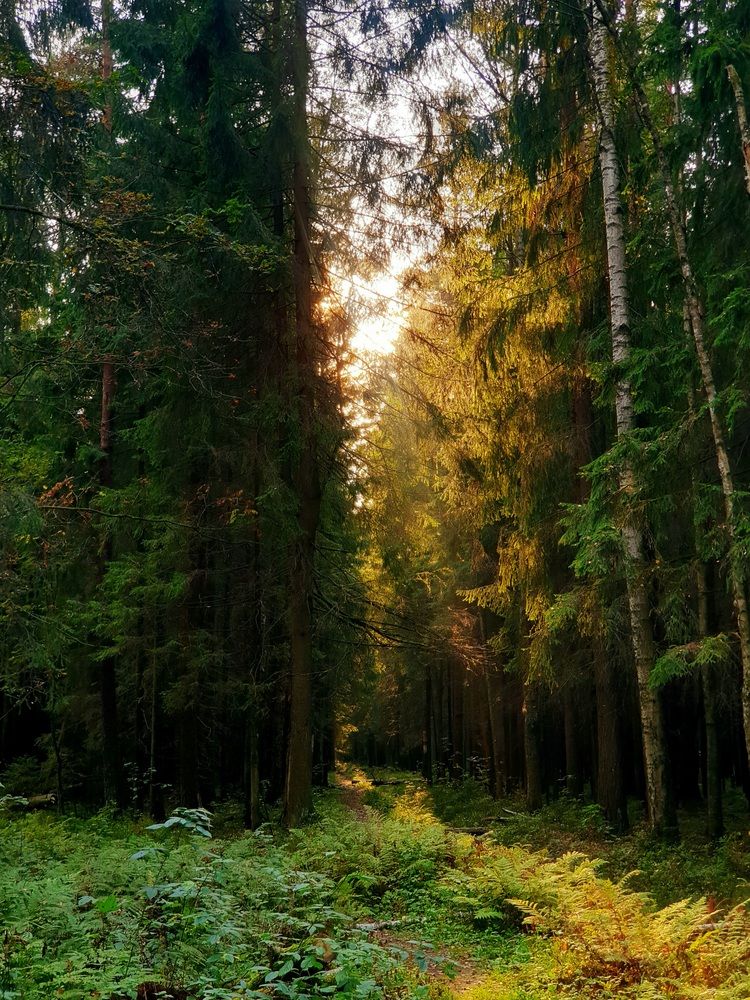 Photograph by Мария Муравьева