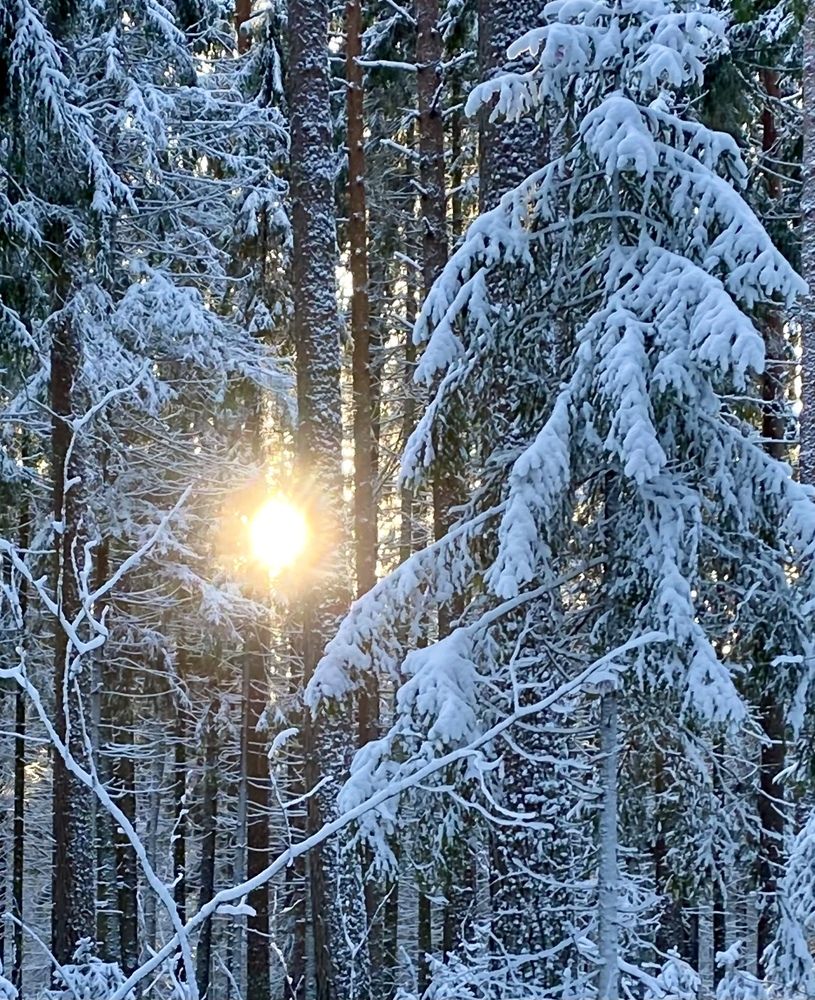 Photograph by Наталья Казачок