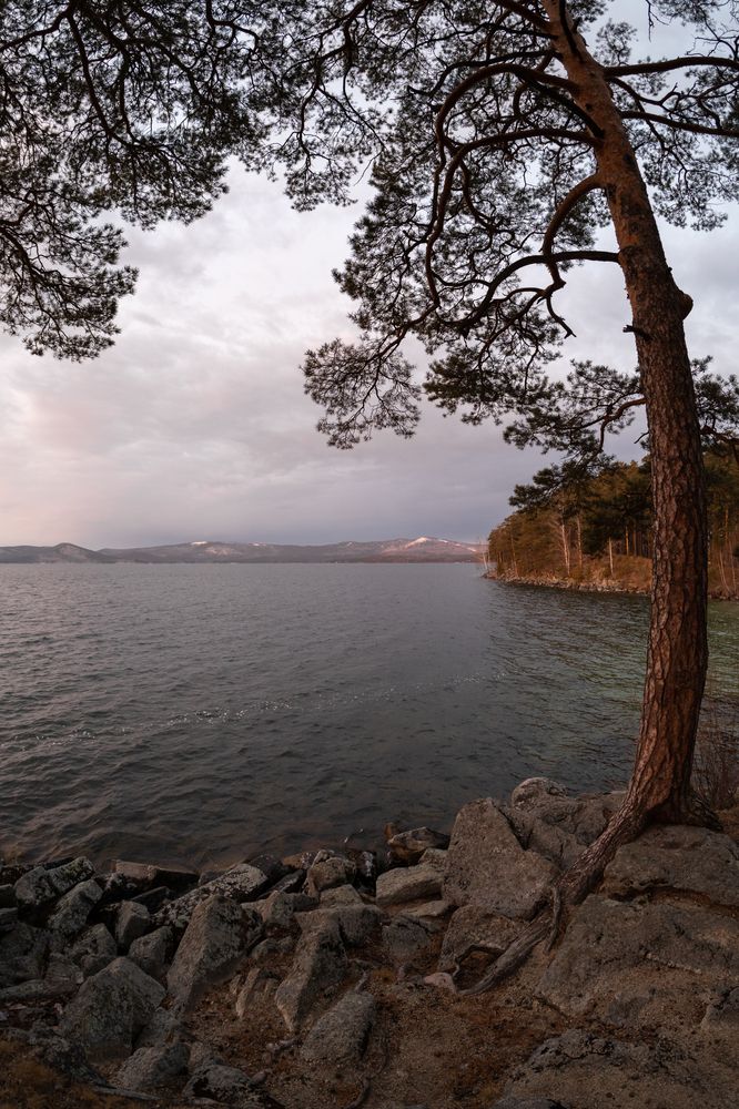 А послезавтра лёд