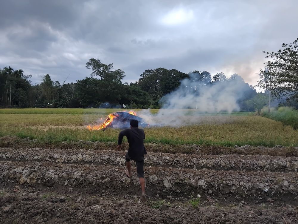 Pursuing Forgotton Bird Trap