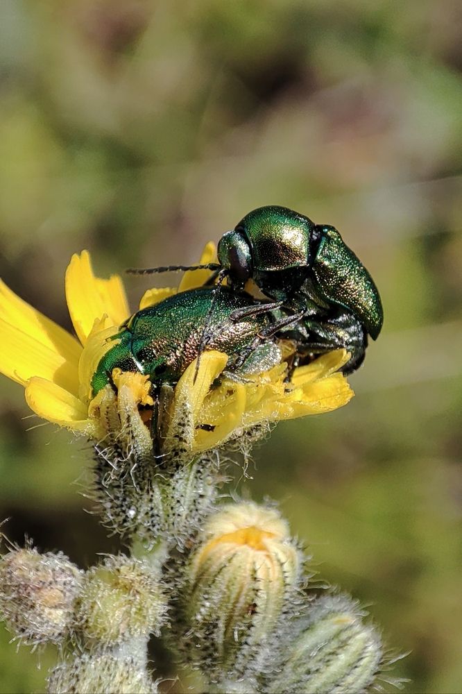 Photograph by Оксана Сандимирова