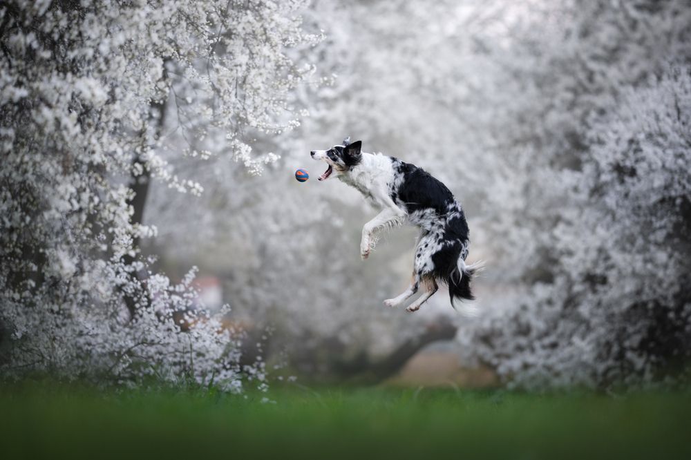 Photograph by Izabela Lyson