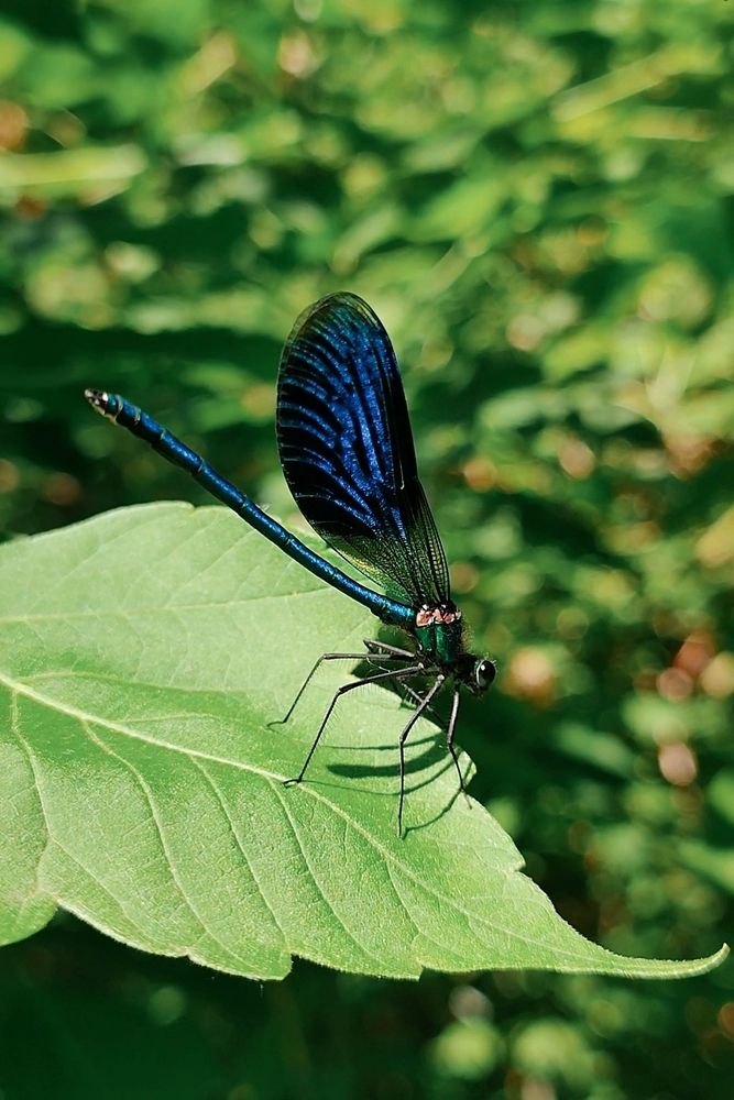 Photograph by Оксана Сандимирова