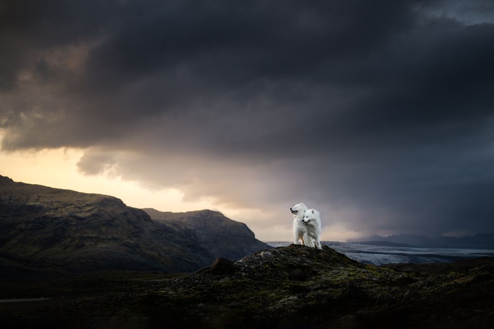 Photograph by Izabela Lyson