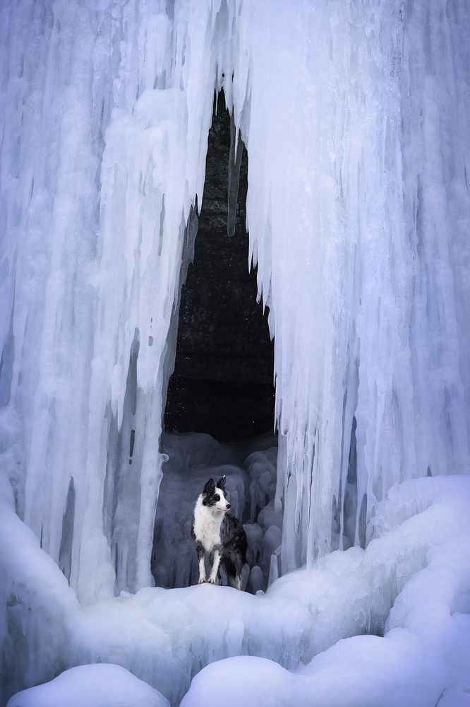 Photograph by Izabela Lyson