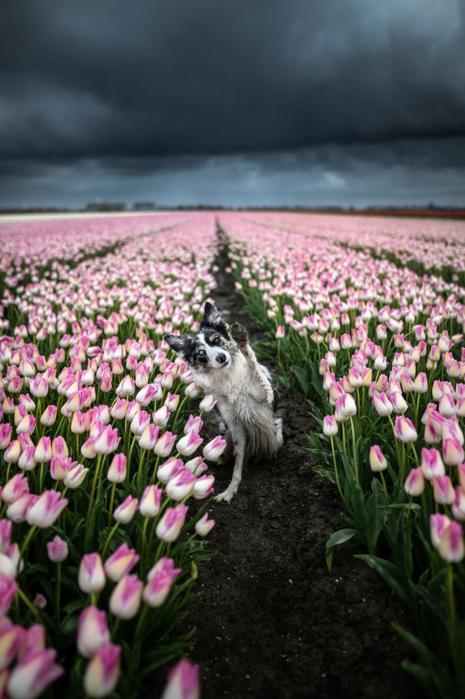 Photograph by Izabela Lyson