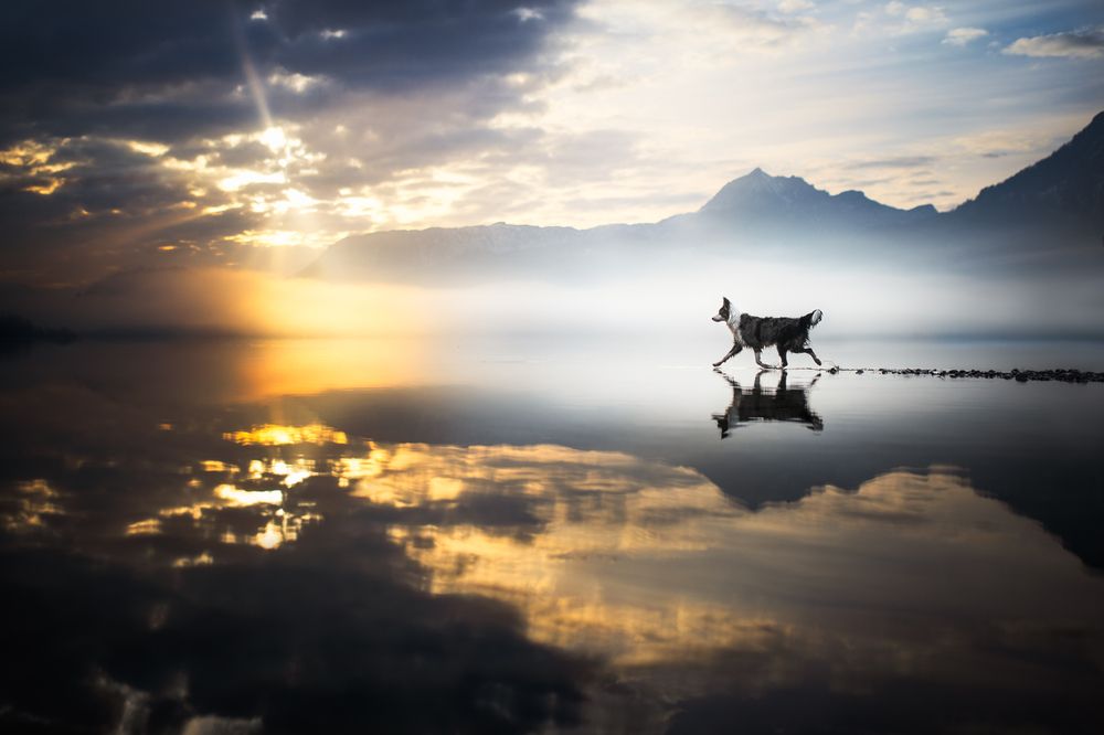 Photograph by Izabela Lyson