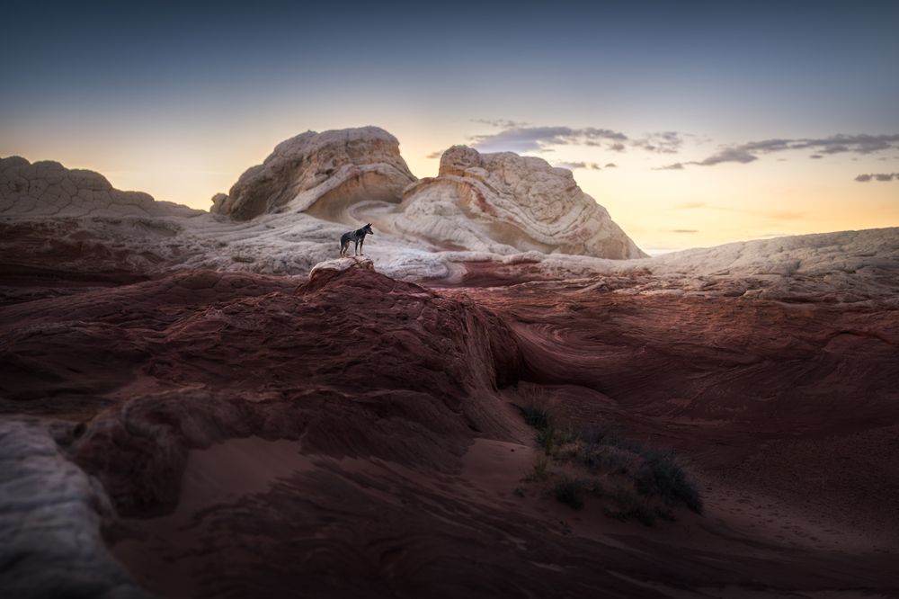 Photograph by Izabela Lyson