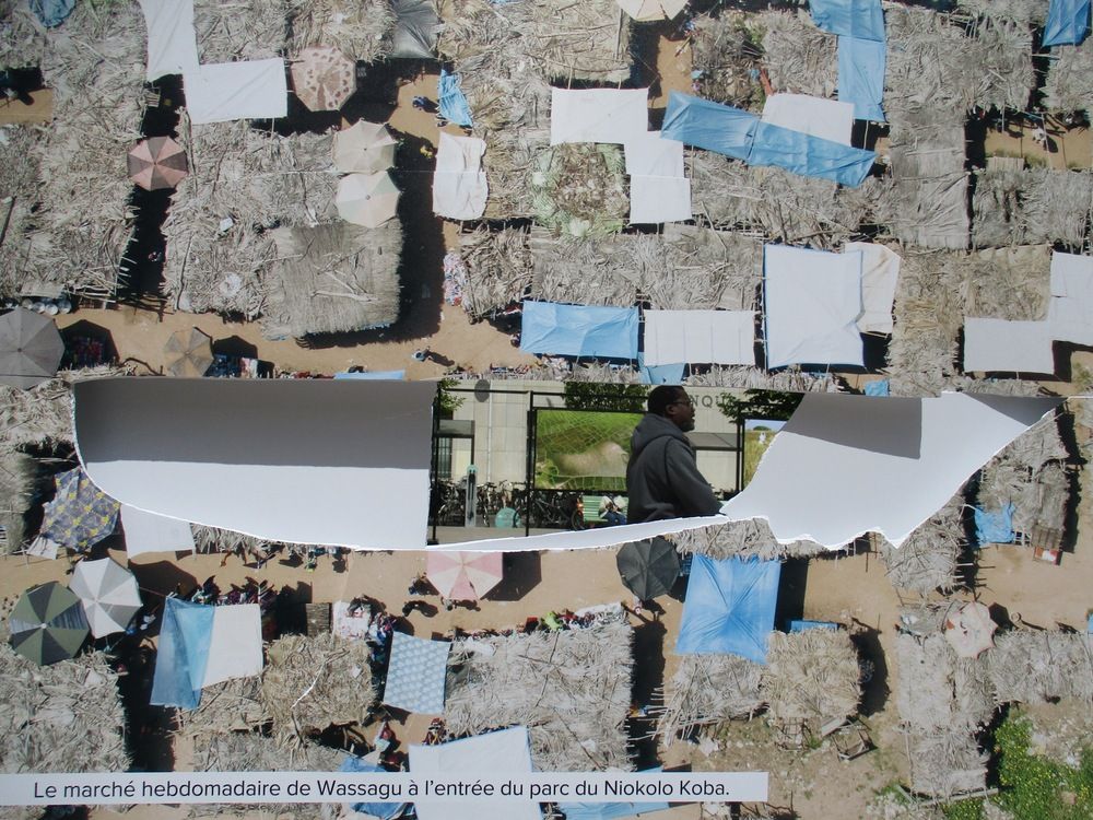 Photograph by Larisa Pirozhnikova