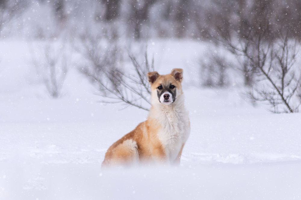 Photograph by Вероника Романенко