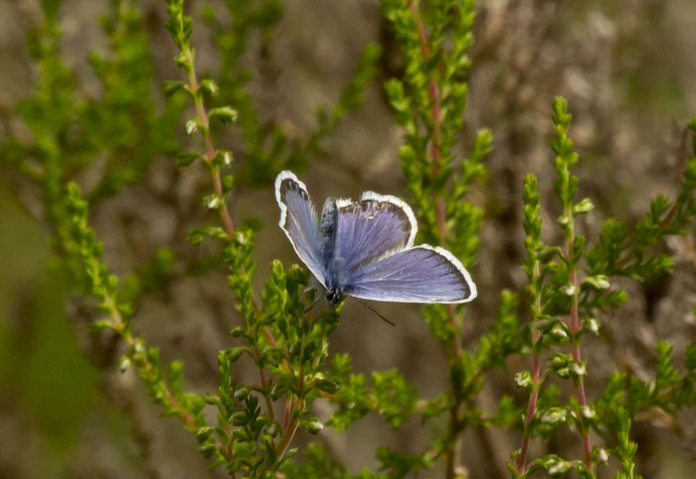 Фотография автора Александр Собокарь