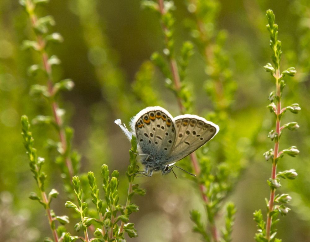 Фотография автора Александр Собокарь