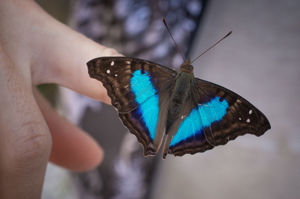 Photograph by Valmir Fernando da Silva