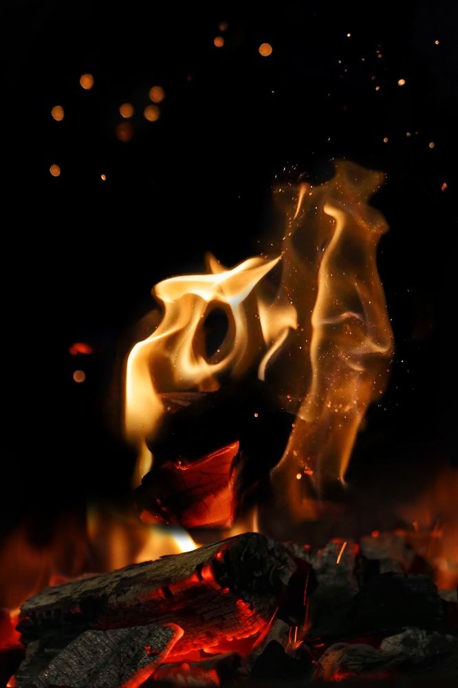 Photograph by Елена Белехова