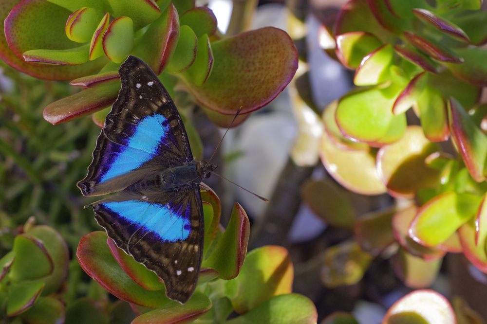 Photograph by Valmir Fernando da Silva