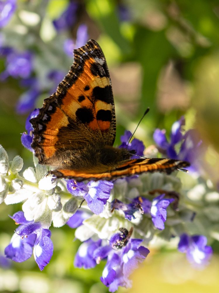 Photograph by Рина Серёгина