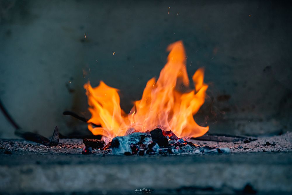 Photograph by barkat Ahmida