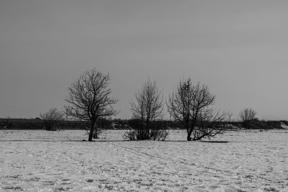 Photograph by Gor Papikyan