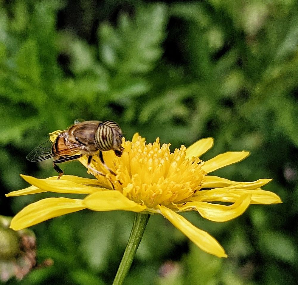 Photograph by Daniela