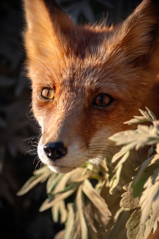 Photograph by Вероника Ливанова