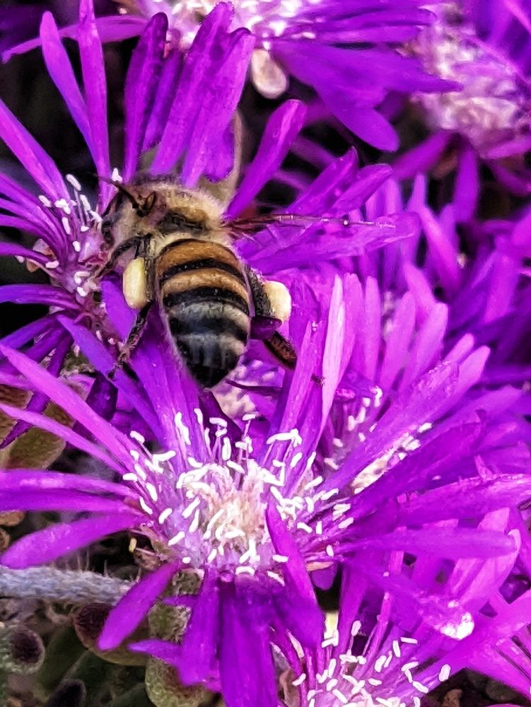 Photograph by Daniela