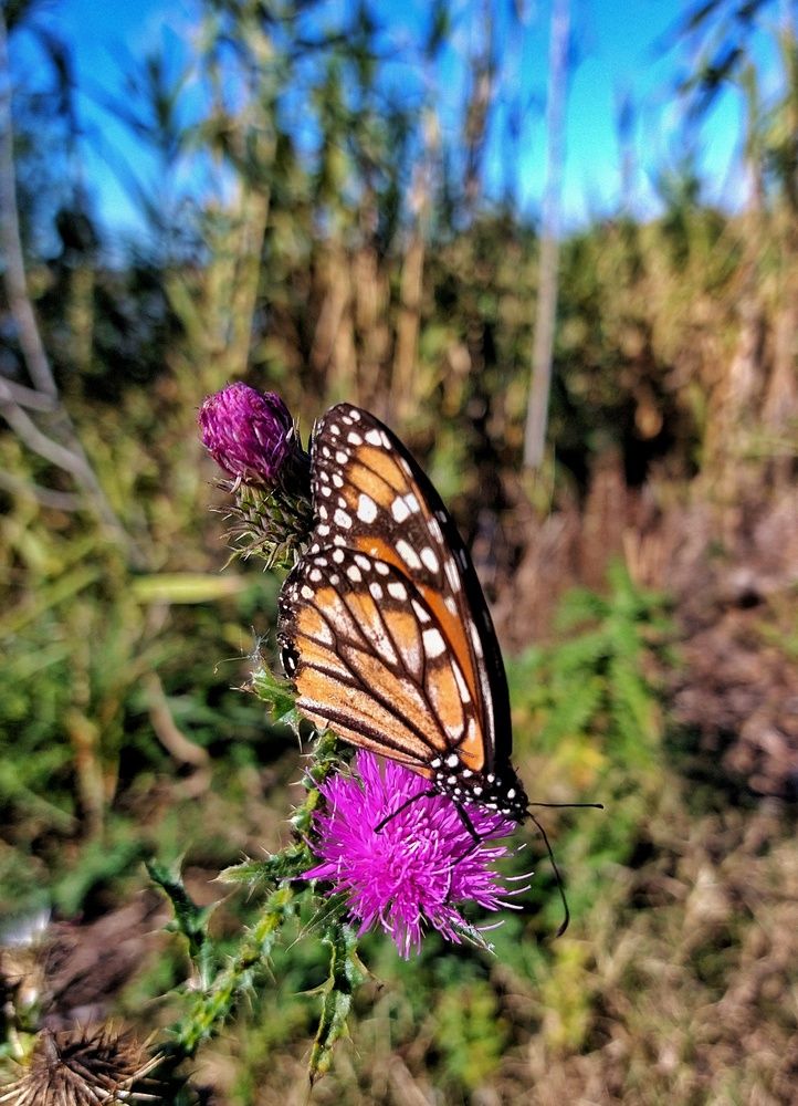 Photograph by Daniela