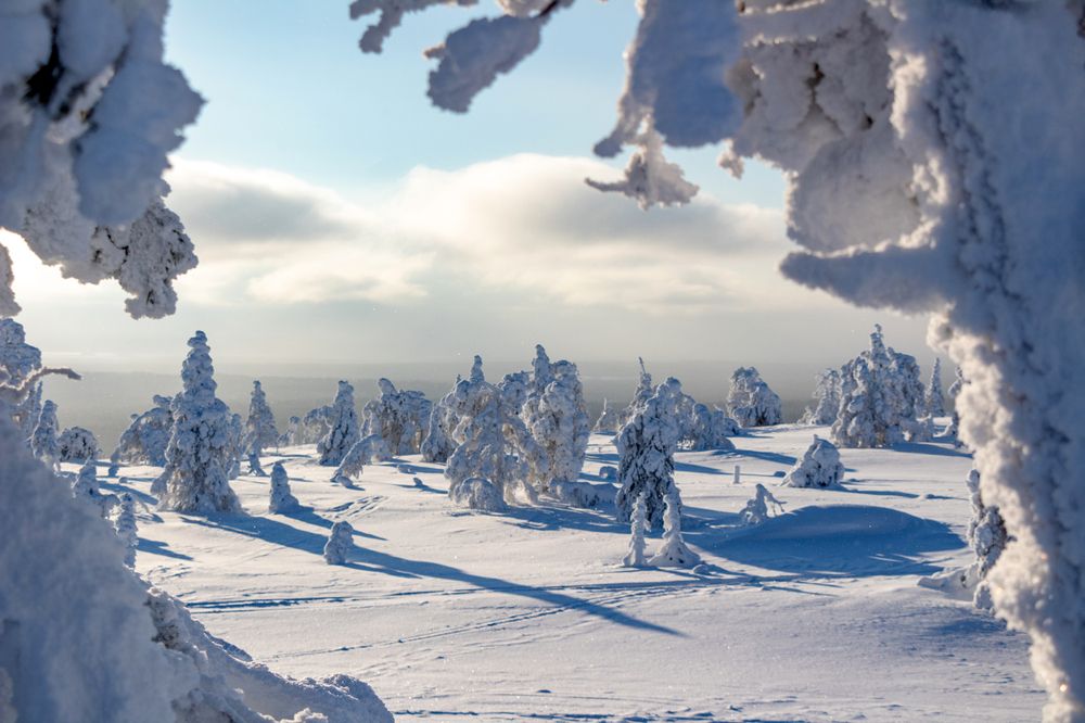 Photograph by Вадим Городницкий