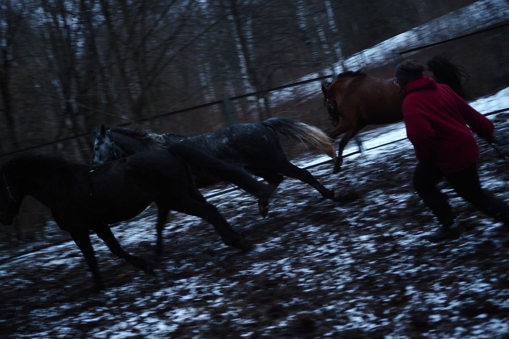 Photograph by Никита Губанов