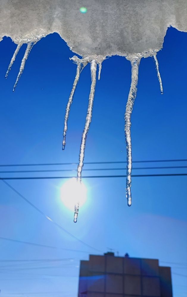 Photograph by Елена Юдина