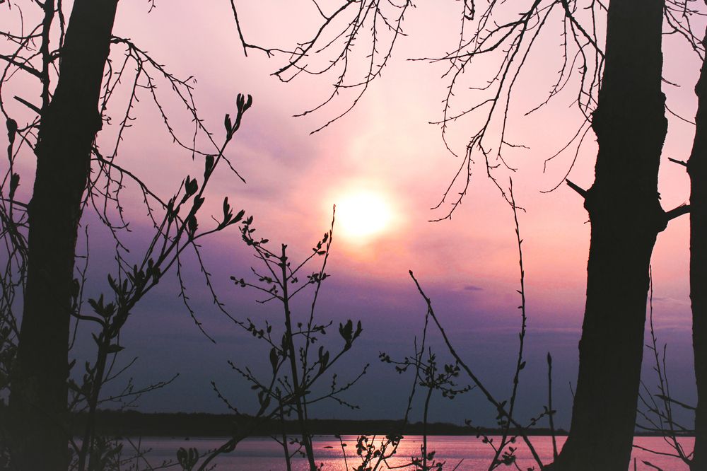Photograph by Анна Никитина