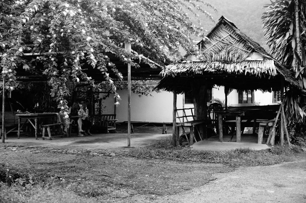 A Glimpse into Rural Life