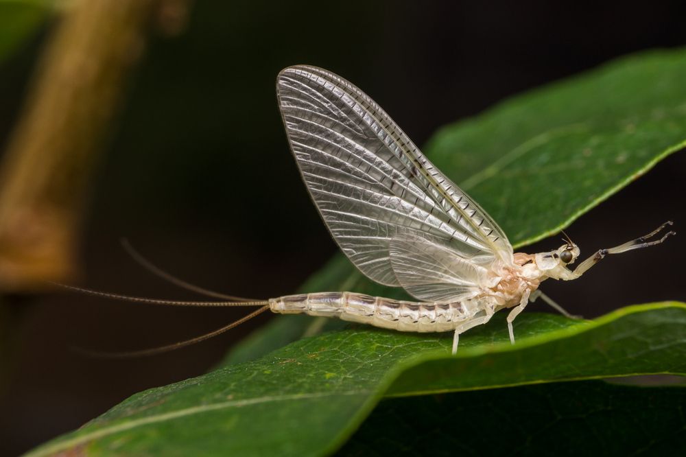 Фотография автора Андрей Ткаченко