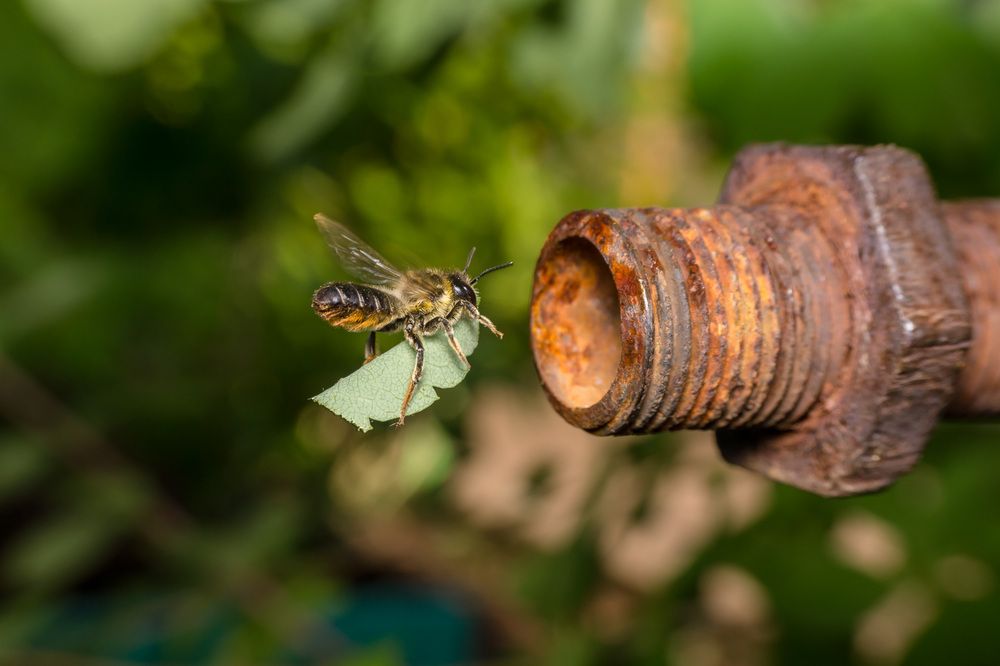 Фотография автора Андрей Ткаченко