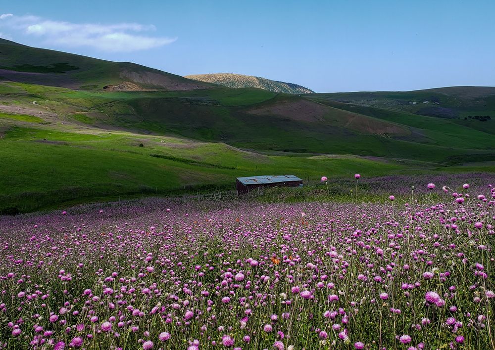 Photograph by amir shadpoor