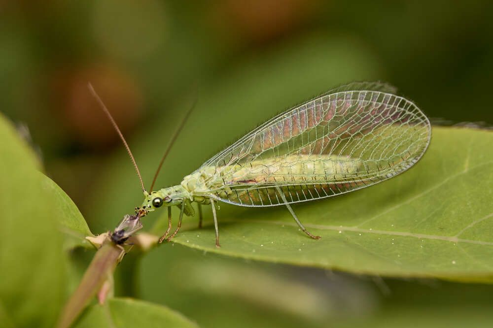 Фотография автора Андрей Ткаченко