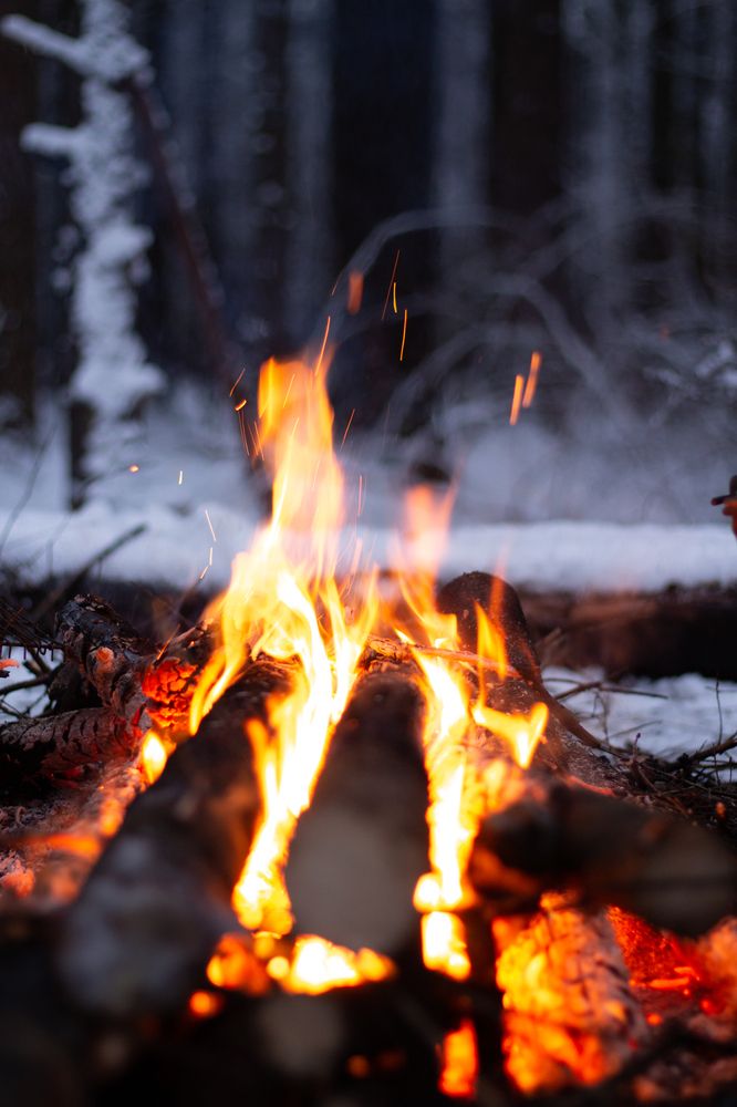 Photograph by Iryna Pravdiuk