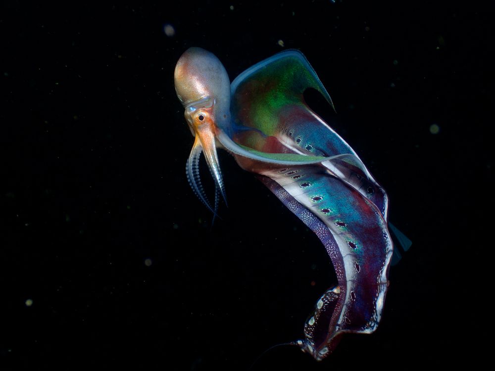 Photograph by Andy Nales Flores