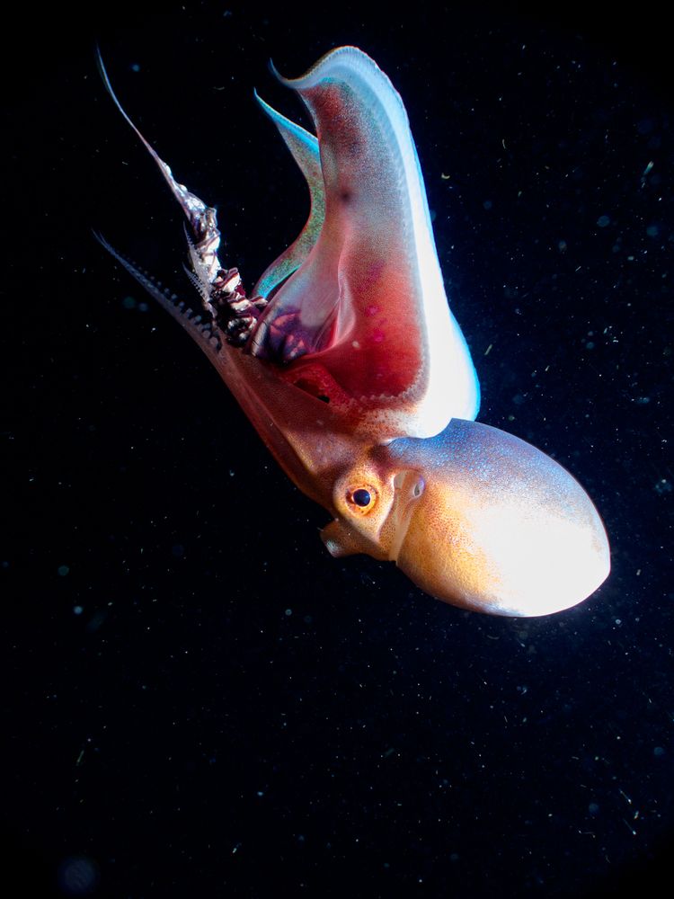 Photograph by Andy Nales Flores