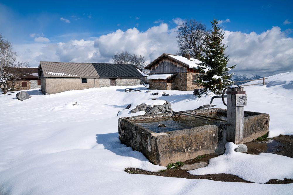 Photograph by Jean pierre