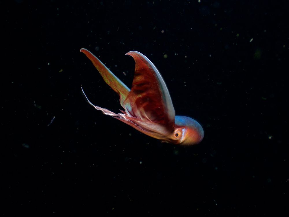 Photograph by Andy Nales Flores