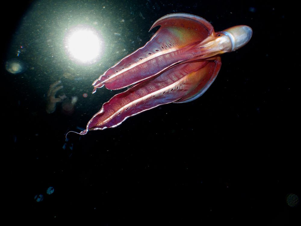 Photograph by Andy Nales Flores