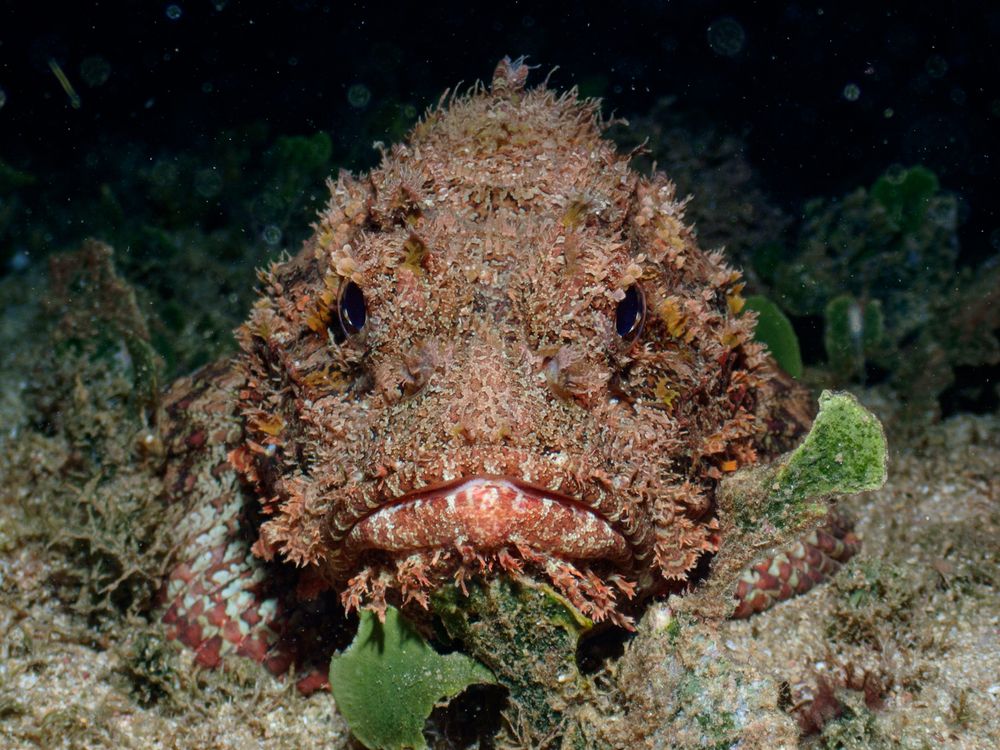 Photograph by Andy Nales Flores