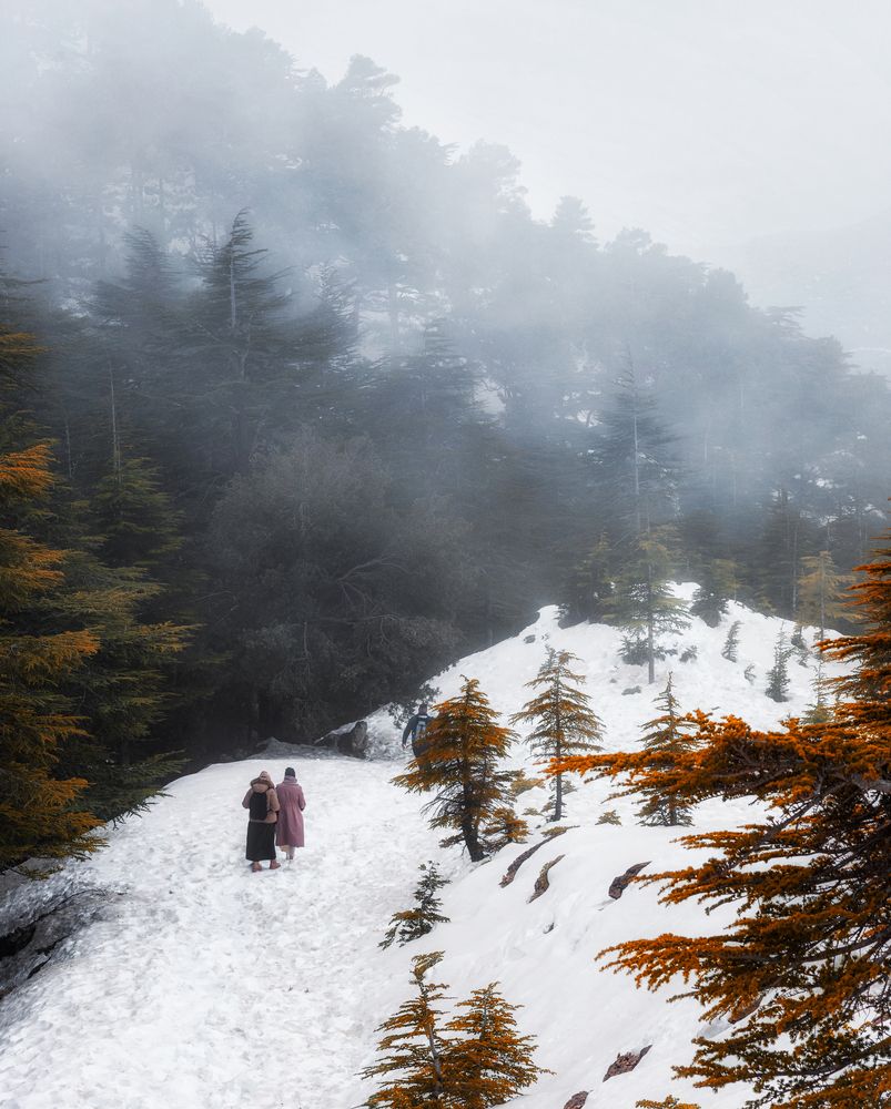 Photograph by Fehd Ghammit