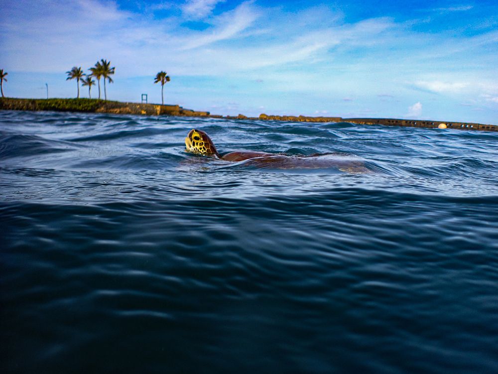 Photograph by Andy Nales Flores