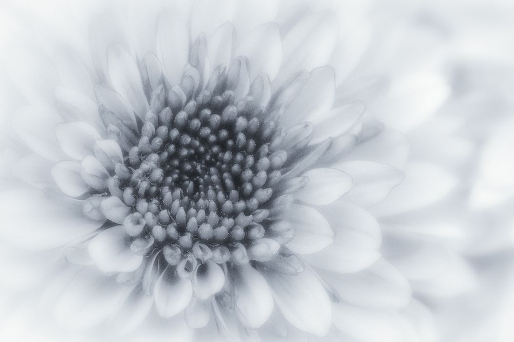 Photograph by HATSUMORI SACHIKO