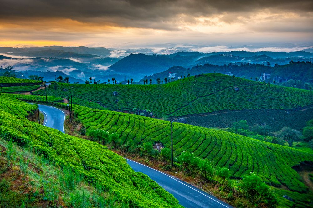 Photograph by Dr Manoj M Kumar